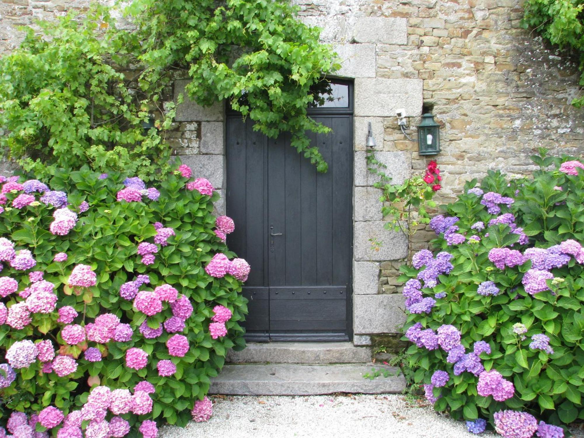 Le Domaine De Belleville Dragey Eksteriør billede